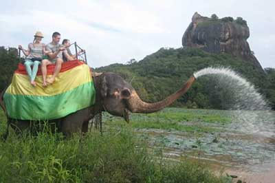 sigiriya Elephant Ride |  pradeeptours.com