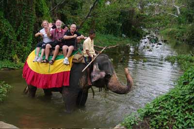 Elephant Ride Sigiriya | pradeeptours.com