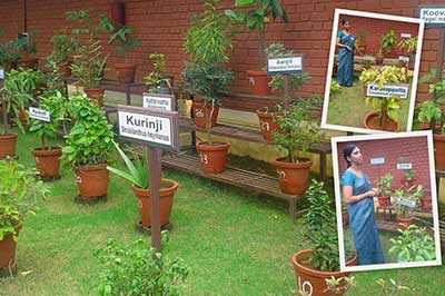 Herbal Garden Matale | pradeeptours.com