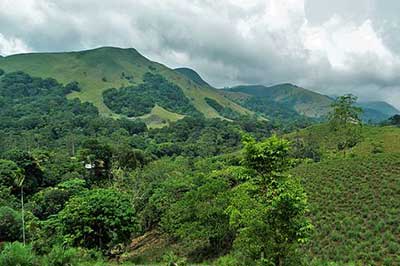 Central Highlands of Sri Lanka |  pradeeptours.com