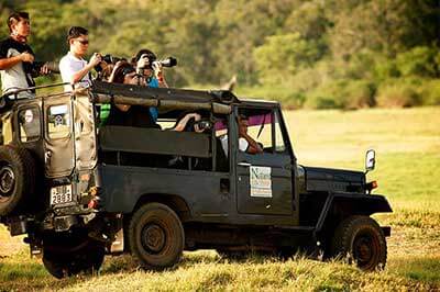 Yala National Park Jeep Safari | pradeeptours.com