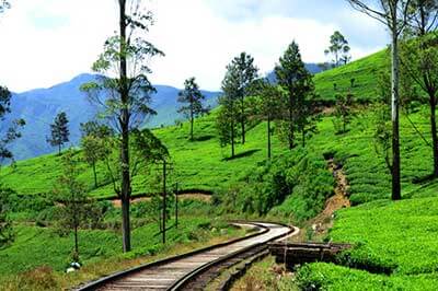 Train Journey Sri Lanka |pradeeptours.com