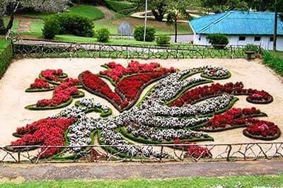 Hakgala Botanical Garden | pradeeptours.com