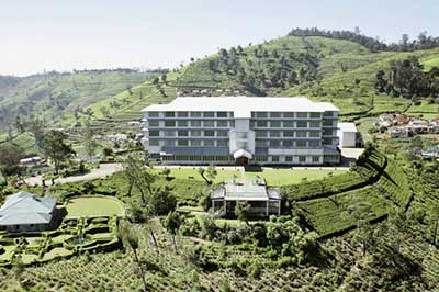  Nuwara Eliya Tea Factory | pradeeptours.com